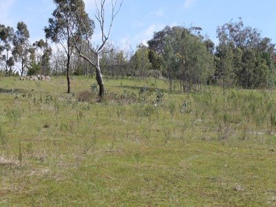 362 Dairy Flat Road, Heathcote