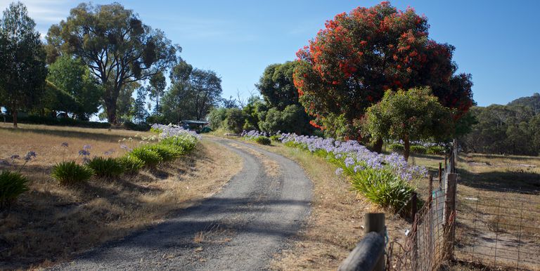 441  Coach Road, Strathbogie