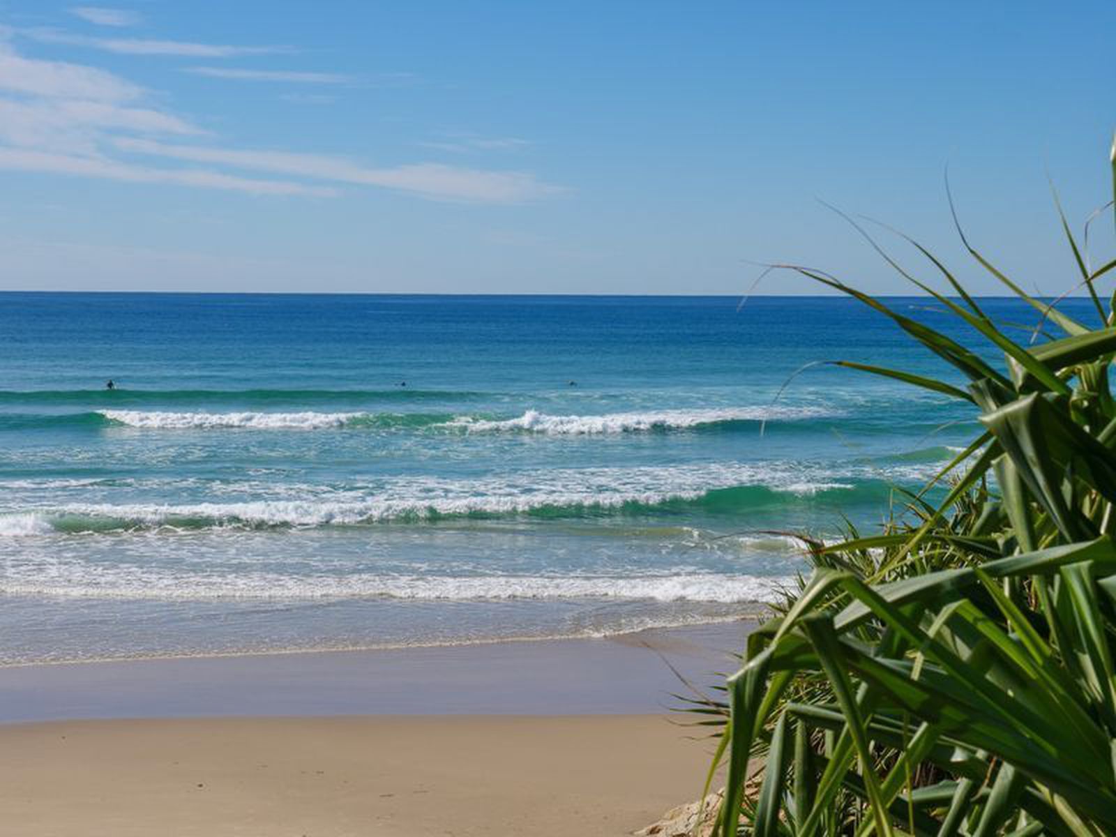 Photo 6 of 10, 8 Tallowood Court, Peregian Springs