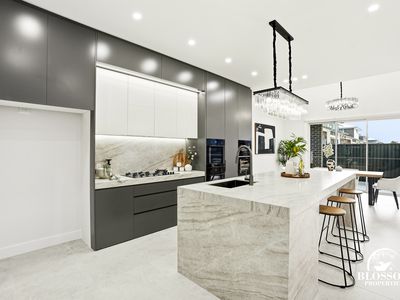 15 Brushcherry Street, Marsden Park
