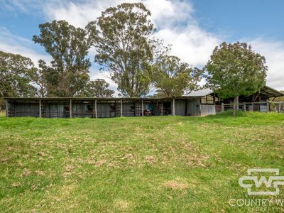 41 Gilligans Lane, Torrington