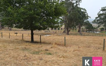 264 Old Drouin Road, Longwarry