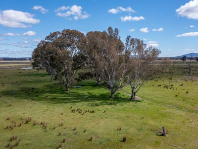 145 Alexanders Lane, Docker