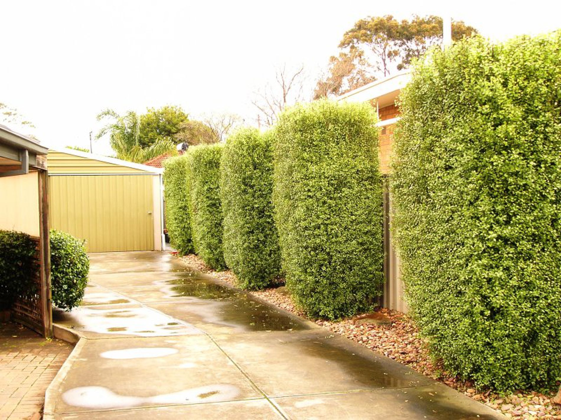 25 Greenbank Grove, Hackham