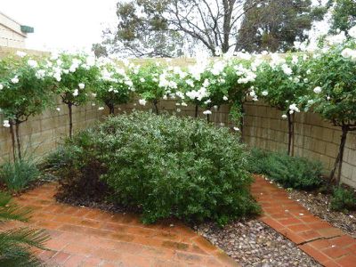 343 Kow Swamp Rd, Cohuna