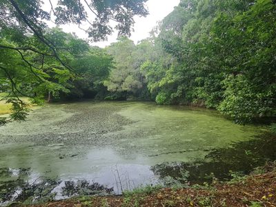 15 Buhmann Street, Cooktown