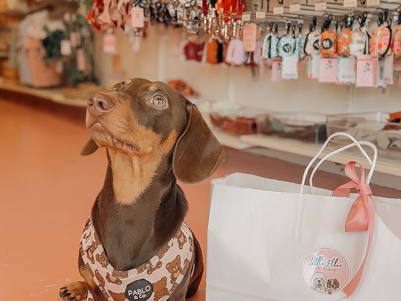Little Ellie Boutique