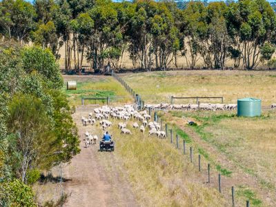 498 Four Tree Road, Lismore