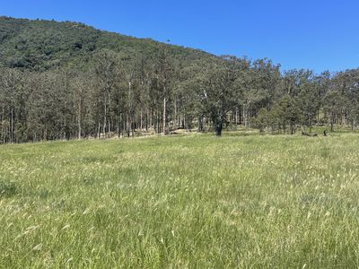 Lot 131 Bunnoo River Road, Ellenborough