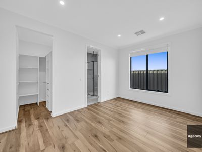 11 Paradoxa Drive, Tarneit