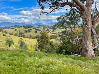 621 U T Creek Road, Alexandra