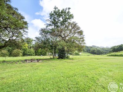 551 Left Bank Road, Mullumbimby Creek