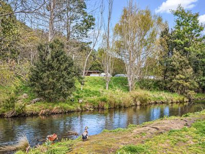 Lot 14, Hill Street, Geeveston