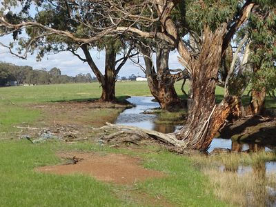 351 Tattersalls Lane, Moormbool West