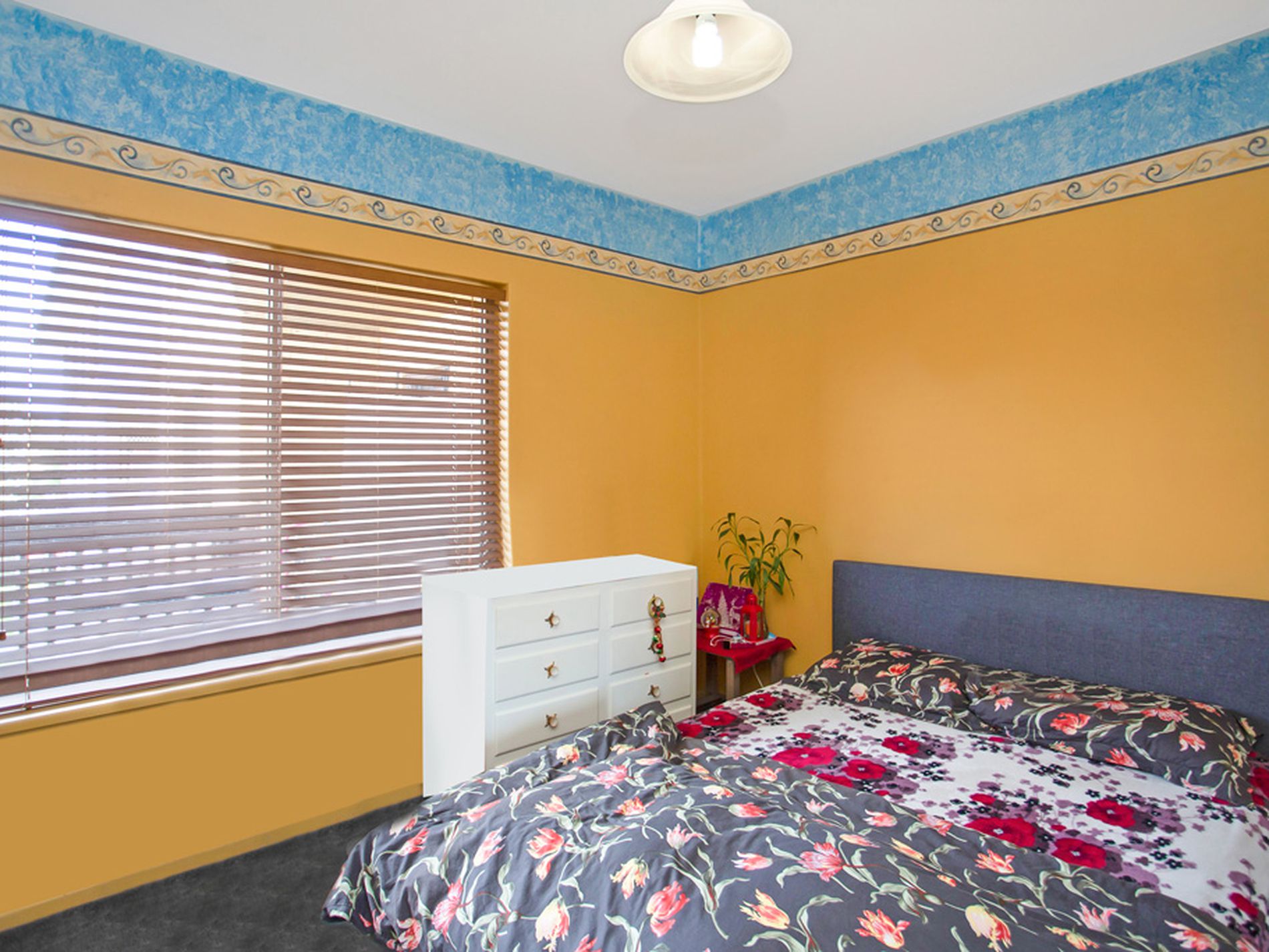 10 / 308 Anzac Highway, Plympton