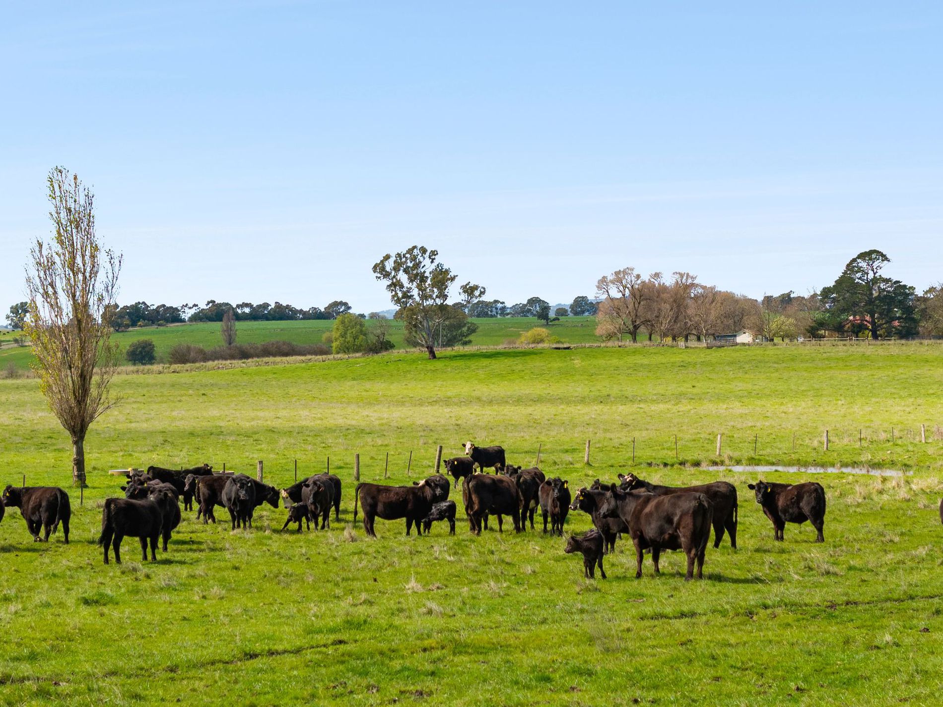 1469 Kyneton-Redesdale Road, Barfold