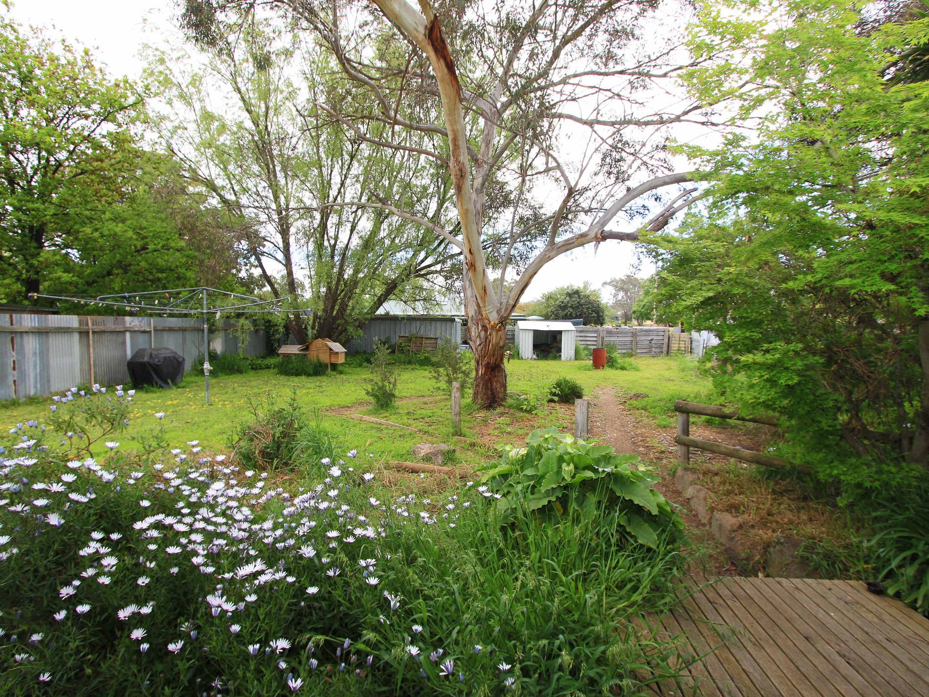55 Beauchamp Street, Heathcote