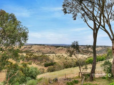 4 Kurrajong Road, One Tree Hill