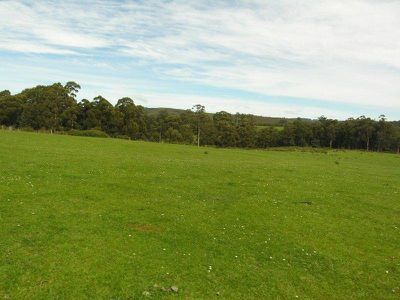 Braeside Road, Franklin