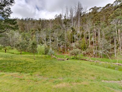 354 Slab Road, Cygnet