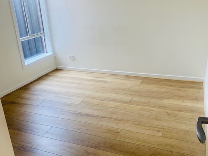 24 Rice Flower, Strathtulloh