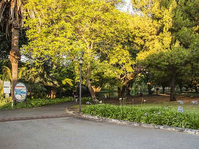 6 / 177 Palmerston Street, Perth