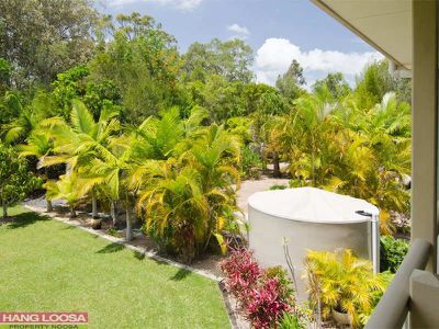 244 Lake Cooroibah Road, Cooroibah