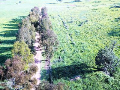 1615 Sunny Corner Road, Meadow Flat