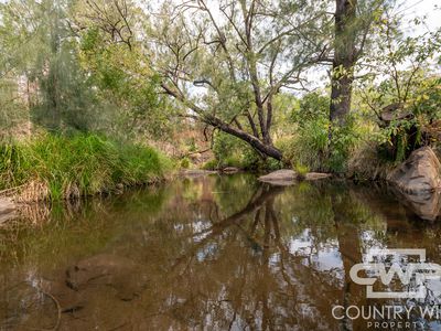 3501C Rocky River Road, Rocky River