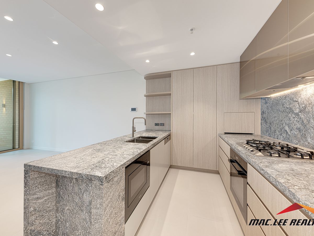 303 / 17 Richmond Avenue, Willou...