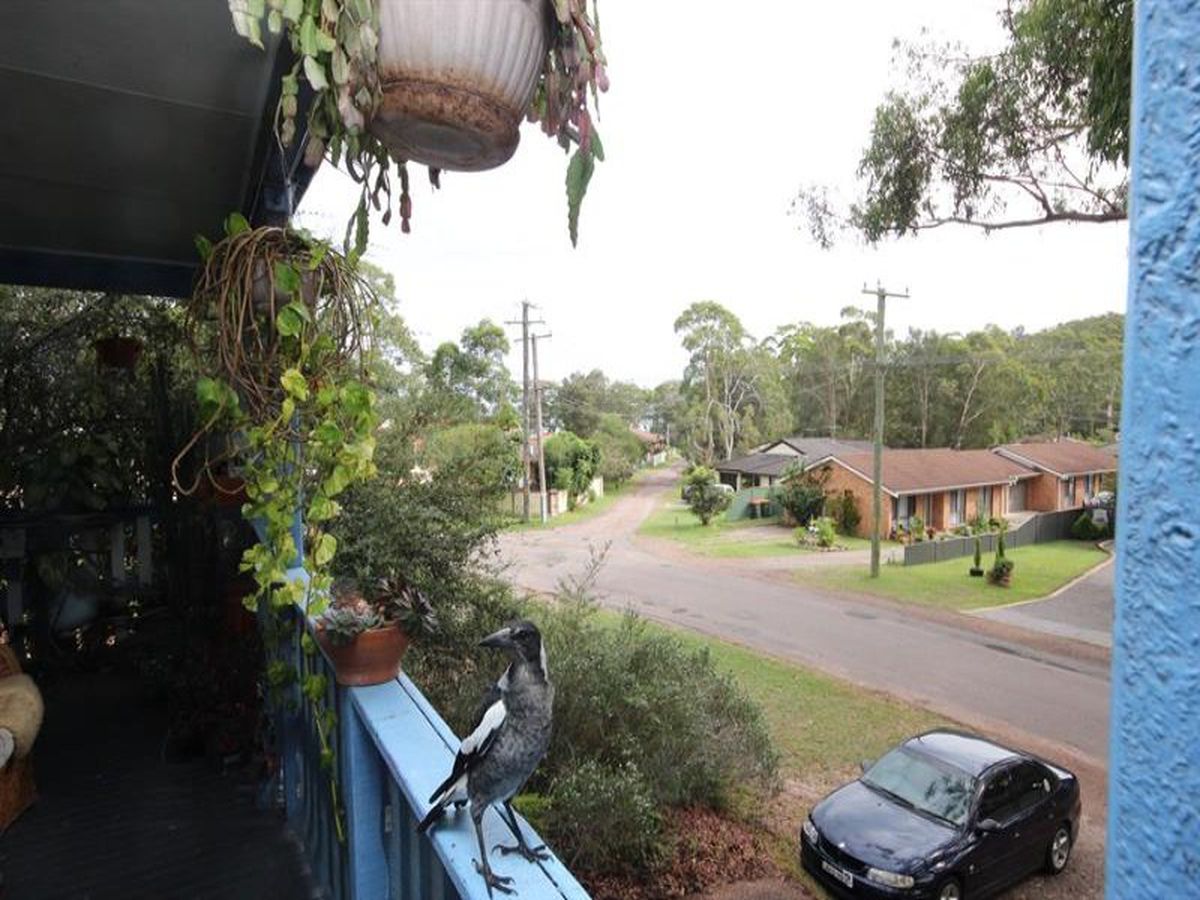 24 Tanilba Rd, Mallabula, Mallabula - Thumbnail 6