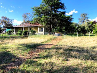 Mount Rankin