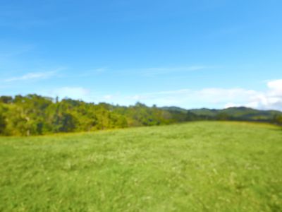 Lot 7, 253 Seres Road, Mena Creek