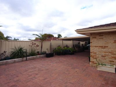 14 Williamson, Stratton