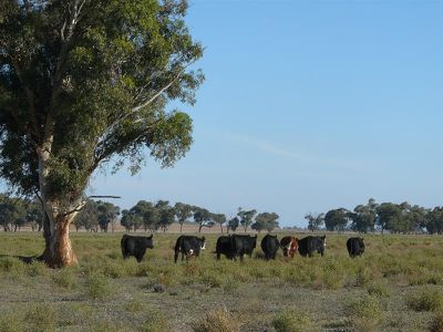 Tocumwal