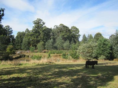 104 Chittys Road, Franklin
