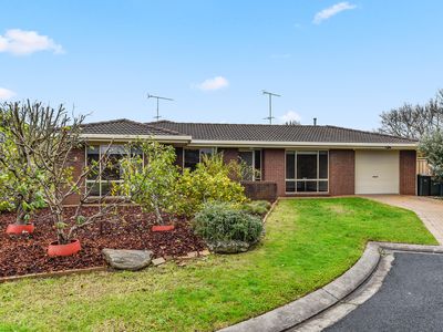 9 Mosswood Close, Mount Gambier
