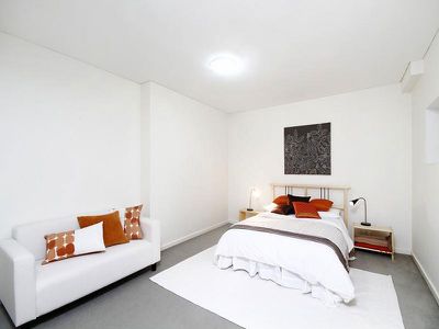 A1 / 252 Botany Road, Alexandria