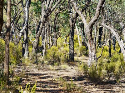 Lot 4 McNutts Lane, Heathcote