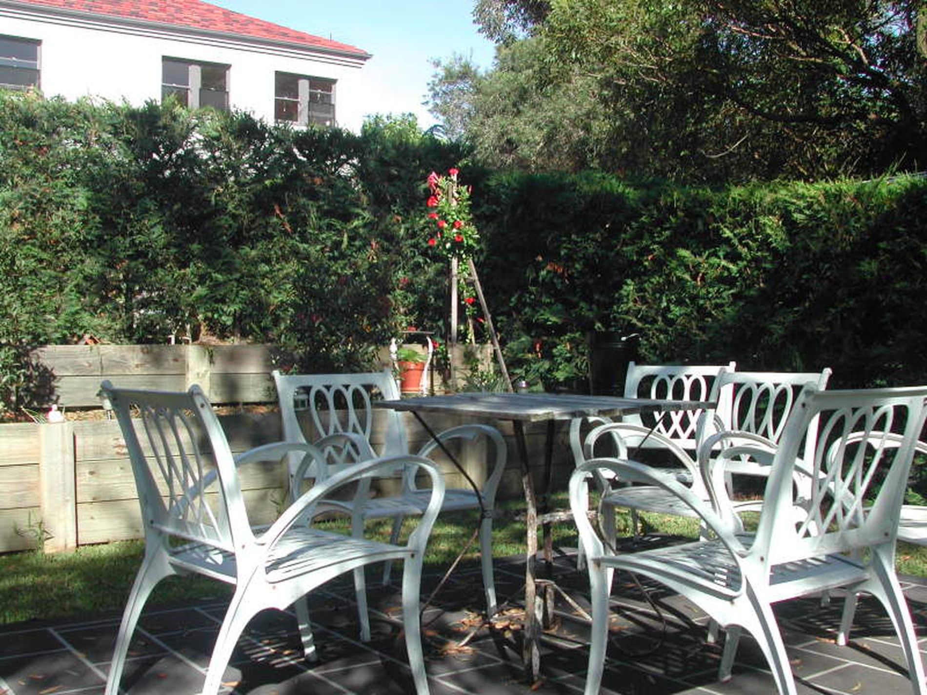 6 / 37A Brook Street, Coogee