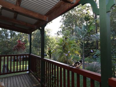 7 / 1157 Stony Chute Road, Nimbin