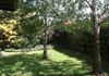 386 Anson Street, Orange