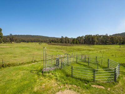 113 Whalans Track, Lancefield