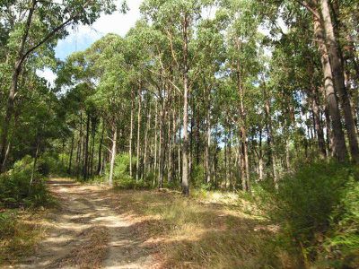 Urfoot Road, Geeveston