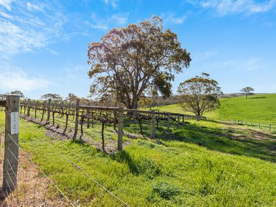 6039 Main South Road, Yankalilla
