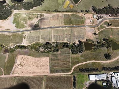 Lot 7 - POKOLBIN ESTATE, McDonalds Road, Pokolbin