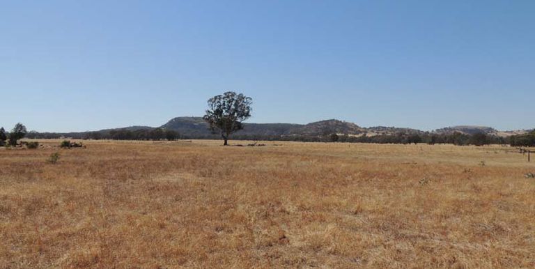 100 Repeater Road Locksley, Avenel