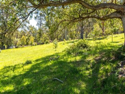 1440 Huon Highway, Lower Longley