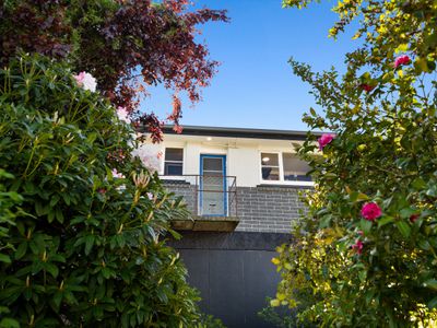 15 Westland Street, Green Island