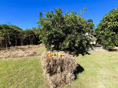 41 Jacaranda Avenue, Tweed Heads West